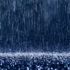 raininforest0