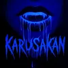 karu_bs