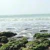 amiraaya296