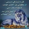 user71796248588710