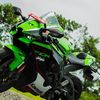 radenotomotif