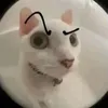 bngcngg_tnee.ch