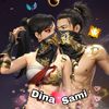 b12.dina