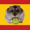 international_hamster