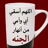 waled.salama8