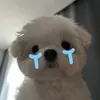 akieu.icyy