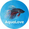 aqua__love