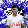 lm10_parvej