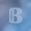 beronika.5