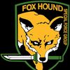 misterfoxhound