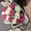 rainbow_5999