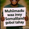 fatimaliyaa1