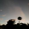archy.mzv334