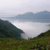 dylgfod2ultc