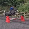 zara_emci_equestrian