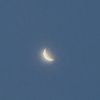iwttmoon___