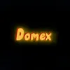 domex300