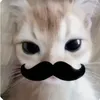 imathenaaaa