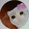 dasupermonke