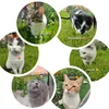 mysixcatss