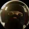 z_qzis