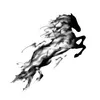 blackhorse5555