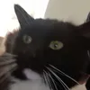kiki__1579