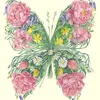 lola_f_l_