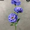 chindy2482