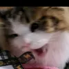 abby_jane_008