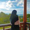 ir_fardanty