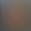 hayleewiegman242