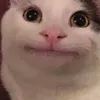 mathyty2