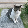 mikami043200