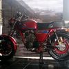 anwar123gionino