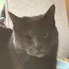 lxbidouchou