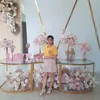 chauan_tiktok