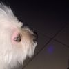 esther....8