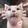 .ghib1xi_