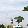 cabrush