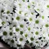 ksu9968449007067