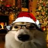 crizikz_