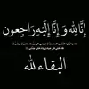 hindhalloumi923