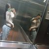 johannisbarrios11