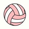 .vb.girls_