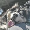 kaireposts