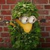 jackt.pogii