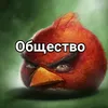 prikoli_onlain