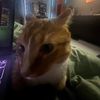 kais_spam0
