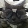 hotlinemiamifan4